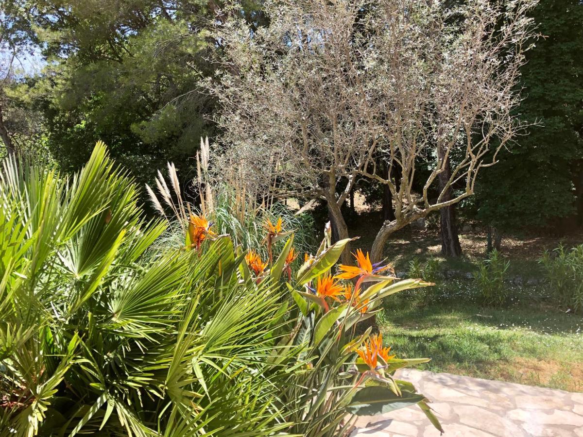 B&B Villa Ganesh Le Rouret Exterior foto